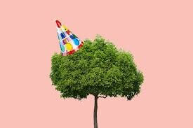 Tu B’Shvat Seder: A Birthday Party for the Trees