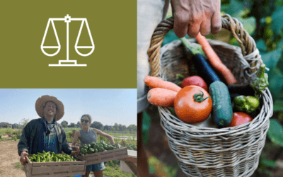 YAD Network & Nosh: Food, Judaism & Equity