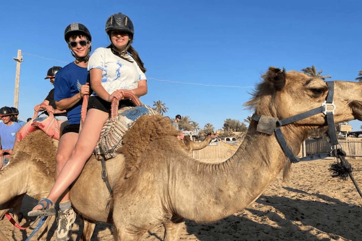 camel rides in the negev desert during IST